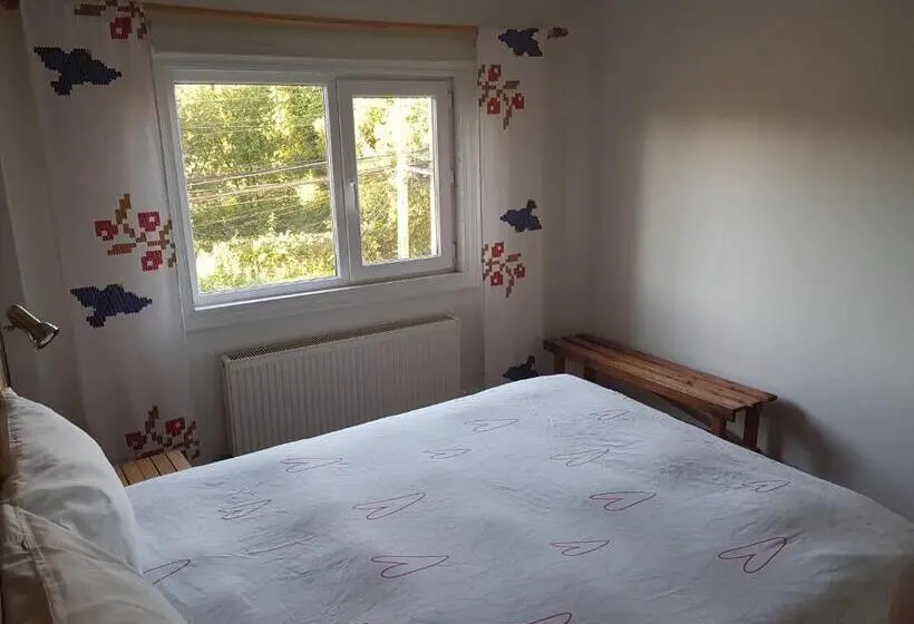 اتاق استاندارد, Hostal Compass Del Sur