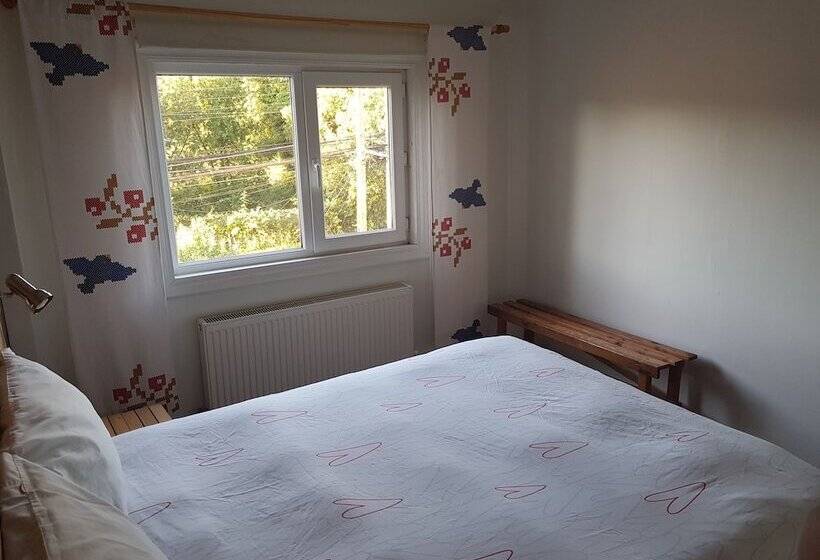 اتاق استاندارد با سرویس بهداشتی مشترک, Hostal Compass Del Sur