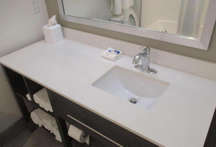 غرفة قياسية سرير كينج, Best Western Plus Roland Inn & Suites