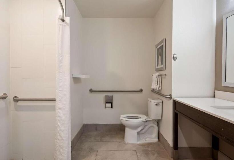 غرفة قياسية لذوى الاحتياجات الخاصة, Best Western Plus Roland Inn & Suites