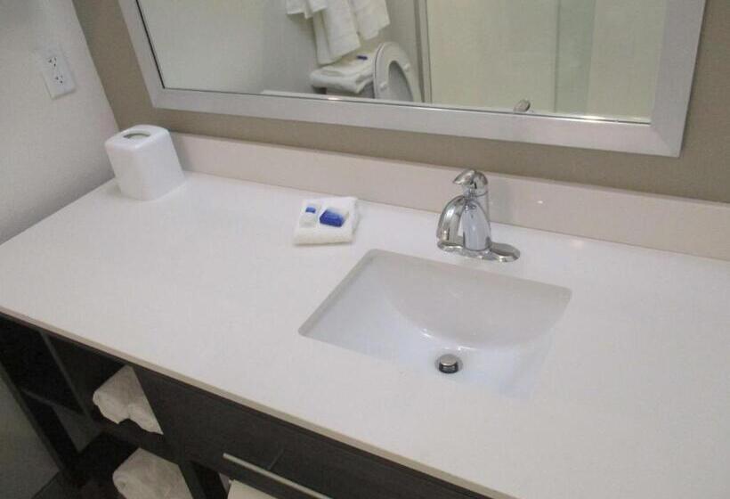 جناح لذوى الاحتياجات الخاصة, Best Western Plus Roland Inn & Suites