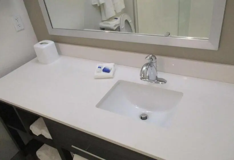 身障者適用スイートルーム, Best Western Plus Roland Inn & Suites