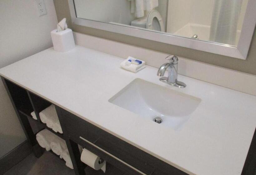 جناح لذوى الاحتياجات الخاصة, Best Western Plus Roland Inn & Suites