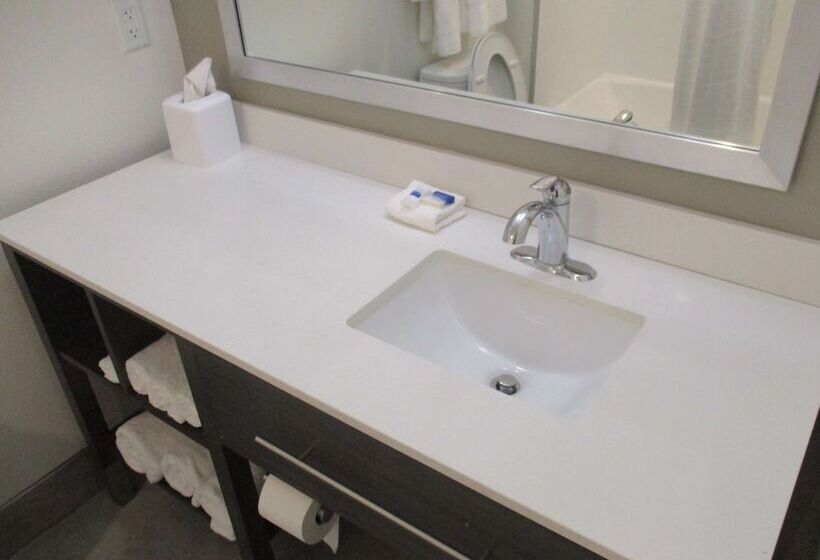 جناح لذوى الاحتياجات الخاصة, Best Western Plus Roland Inn & Suites