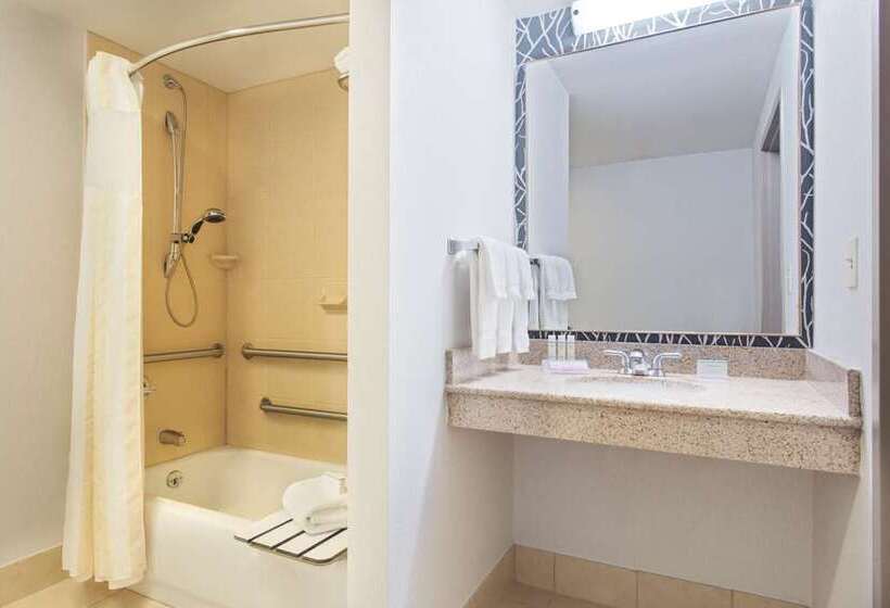 Habitació Estàndard, Hilton Garden Inn Downtown Birmingham