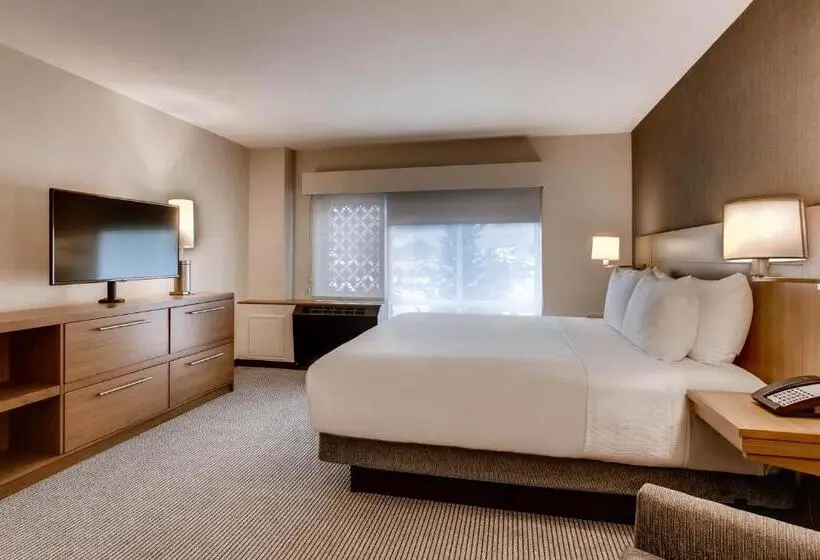 キングサイズベッドのスイートルーム, Hyatt Place Keystone   Dillon