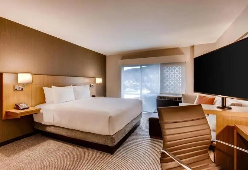 キングサイズベッドのスタンダードルーム, Hyatt Place Keystone   Dillon