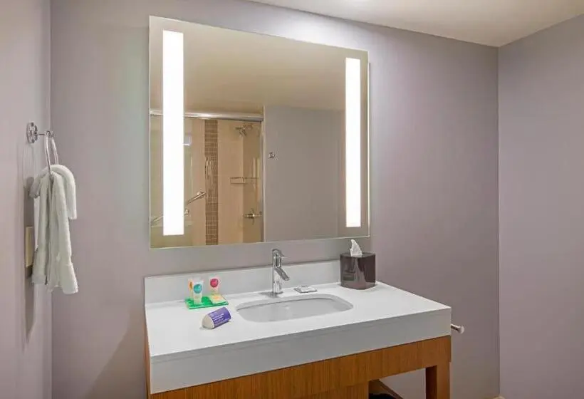 身障者適用キングサイズベッドルーム, Hyatt Place Keystone   Dillon