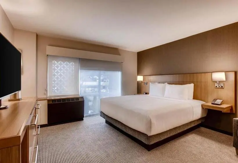 身障者適用キングサイズベッドルーム, Hyatt Place Keystone   Dillon