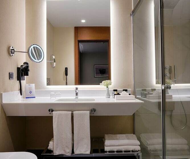 اتاق لوکس, Radisson Blu Hotel Ankara Cankaya