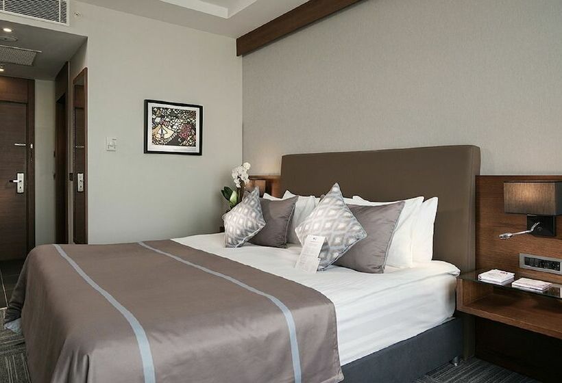 اتاق لوکس, Radisson Blu Hotel Ankara Cankaya