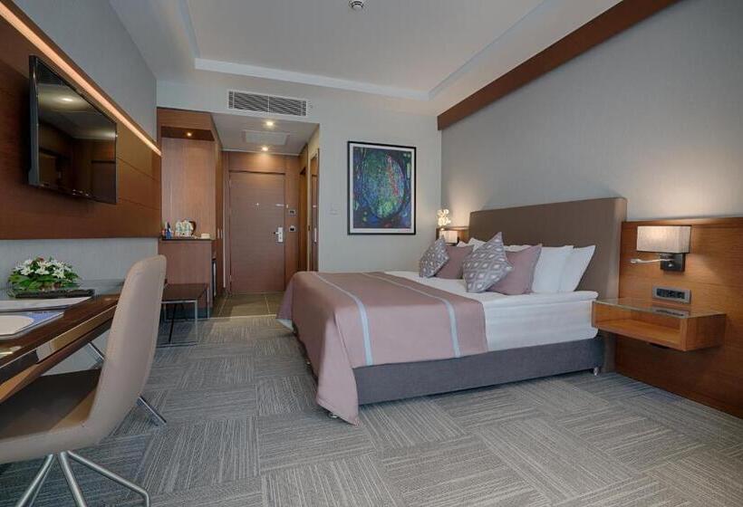 اتاق لوکس, Radisson Blu Hotel Ankara Cankaya