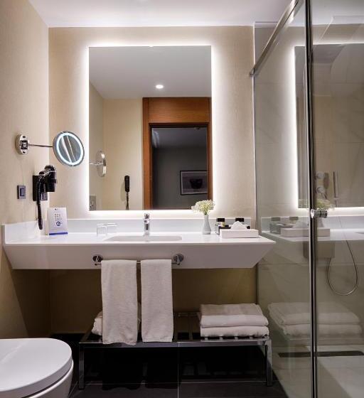 اتاق لوکس, Radisson Blu Hotel Ankara Cankaya