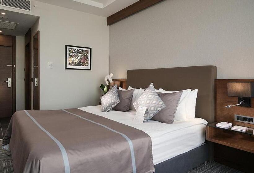 اتاق استاندارد, Radisson Blu Hotel Ankara Cankaya