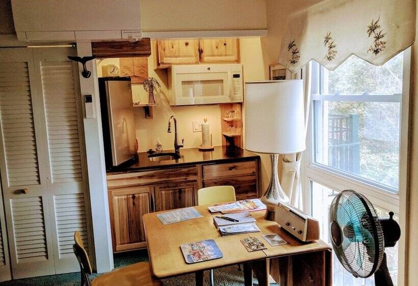 Студио Economy, Ann Arbor Bed And Breakfast