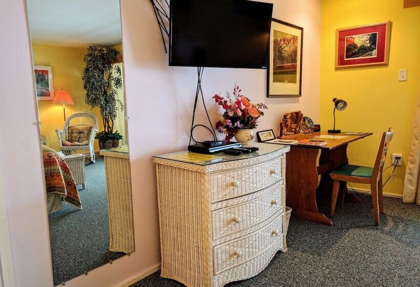 Номер Премиум Вид на Город, Ann Arbor Bed And Breakfast