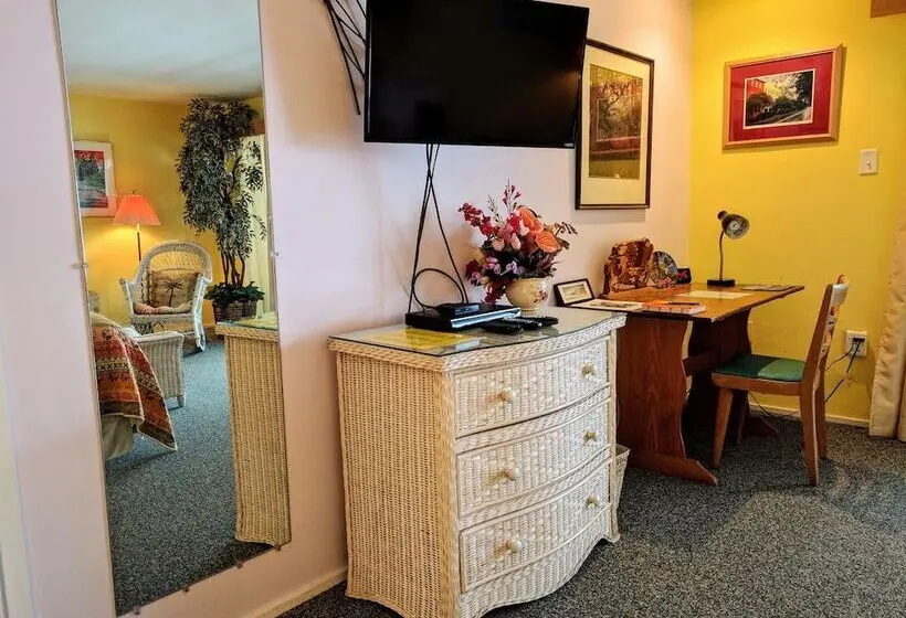 シティビュープレミアムルーム, Ann Arbor Bed And Breakfast