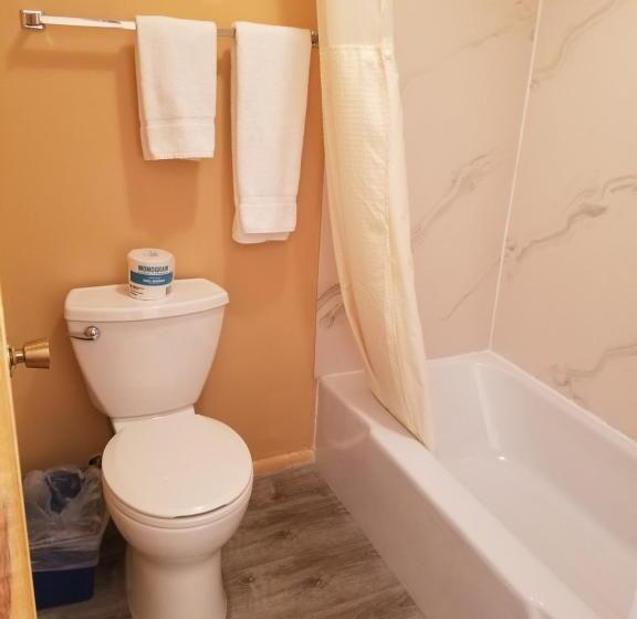 غرفة قياسية داخلية, Galaxy Of Harley Bikers Between Bryce And Zion