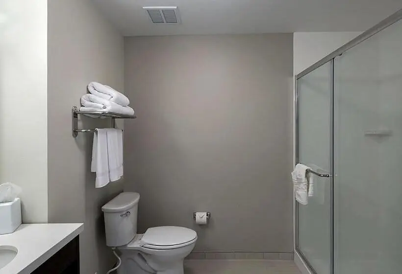 Standard-studio, Extended Stay America Suites Rock Hill