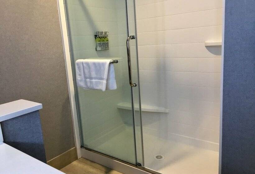 스위트, Holiday Inn Express   Grand Island, An Ihg