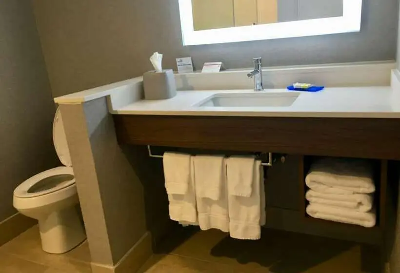 ダブルベッドスタンダードルーム, Holiday Inn Express   Grand Island, An Ihg