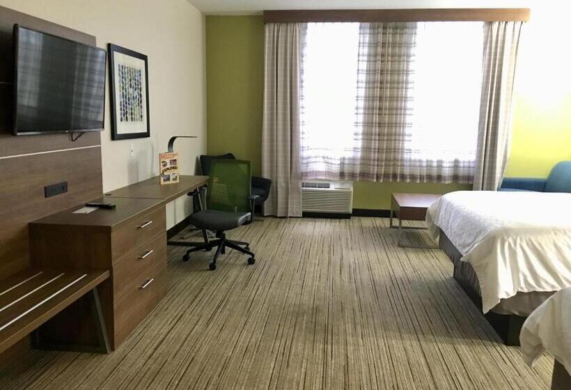 스위트, Holiday Inn Express   Grand Island, An Ihg
