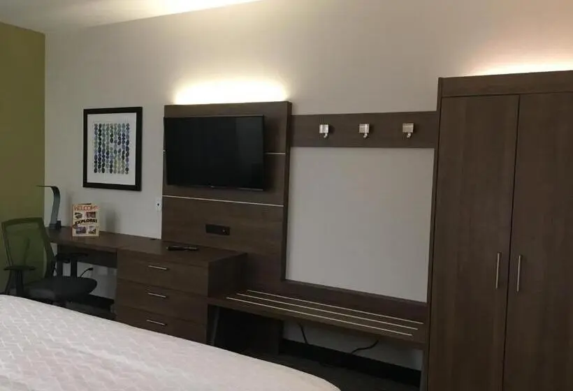 キングサイズベッドのスタンダードルーム, Holiday Inn Express   Grand Island, An Ihg