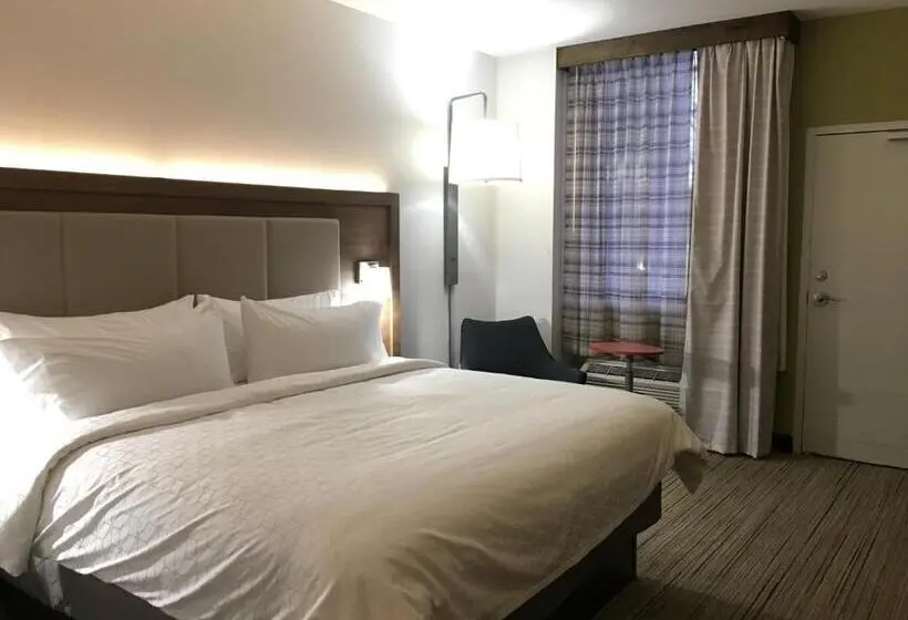 キングサイズベッドのスタンダードルーム, Holiday Inn Express   Grand Island, An Ihg