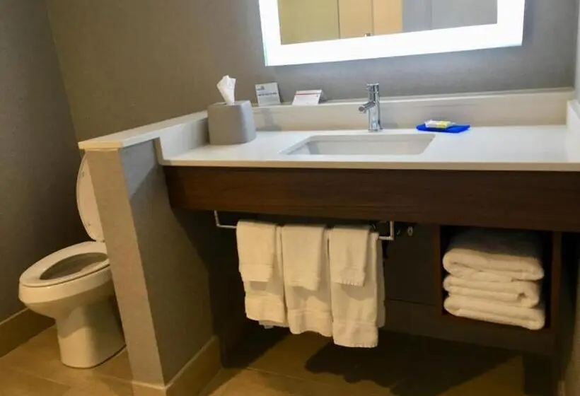キングサイズベッドのスタンダードルーム, Holiday Inn Express   Grand Island, An Ihg