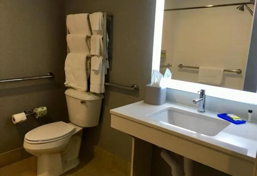 身障者適用スイートルーム, Holiday Inn Express   Grand Island, An Ihg