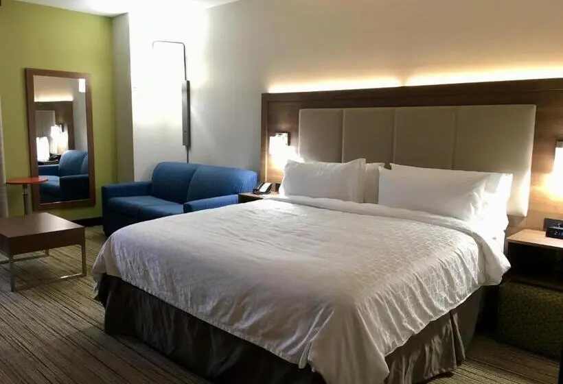 身障者適用スイートルーム, Holiday Inn Express   Grand Island, An Ihg