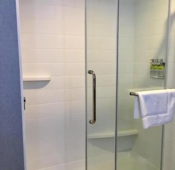 身障者適用スイートルーム, Holiday Inn Express   Grand Island, An Ihg