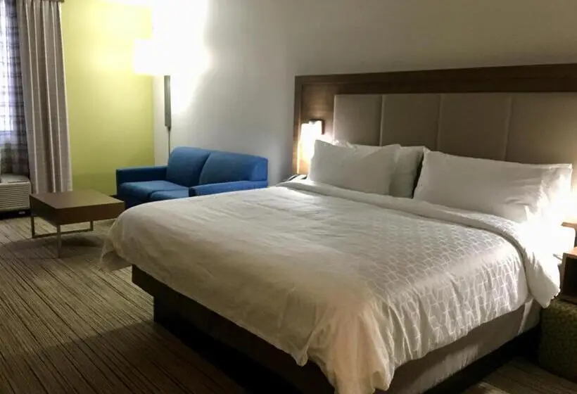 キングサイズベッドのスイートルーム, Holiday Inn Express   Grand Island, An Ihg