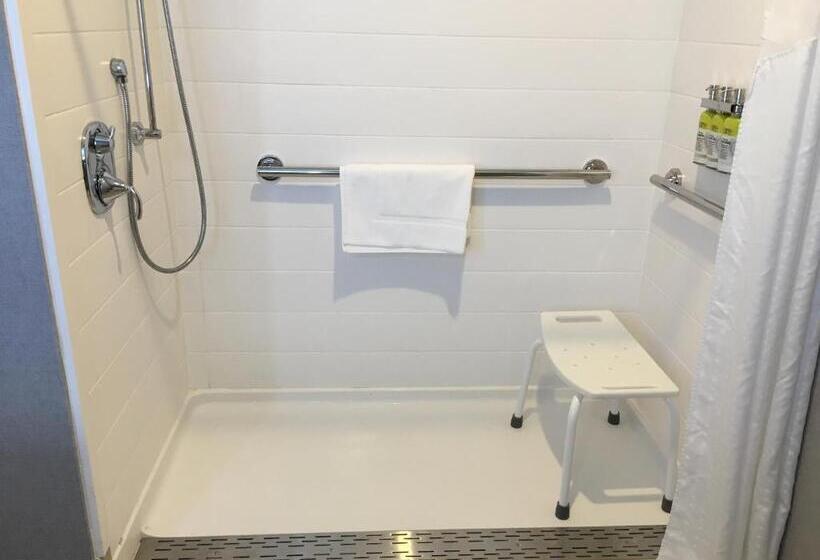 장애인을 위한 스탠다드 룸, Holiday Inn Express   Grand Island, An Ihg