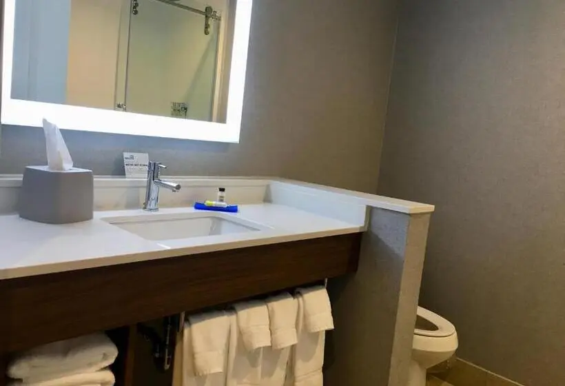 身障者適用スタンダードルーム, Holiday Inn Express   Grand Island, An Ihg