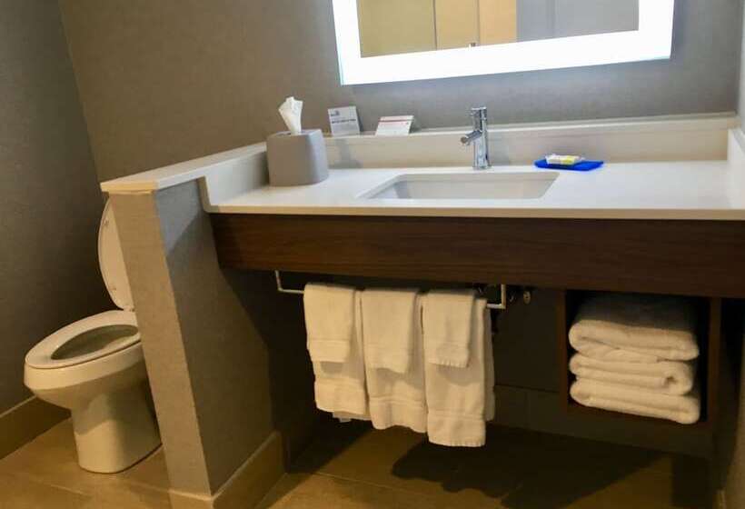 스탠다드 룸, Holiday Inn Express   Grand Island, An Ihg