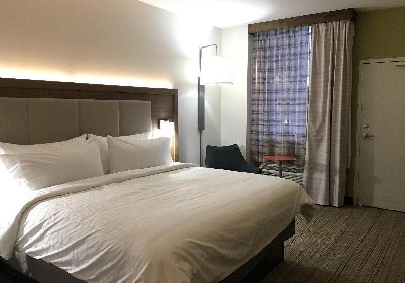 스탠다드 룸 킹사이즈 침대, Holiday Inn Express   Grand Island, An Ihg