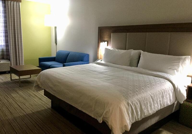 스위트 킹사이즈 침대, Holiday Inn Express   Grand Island, An Ihg