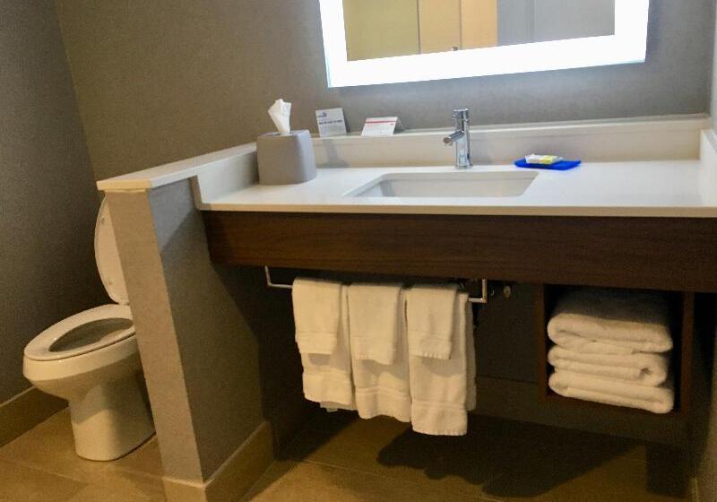 스탠다드 룸 킹사이즈 침대, Holiday Inn Express   Grand Island, An Ihg