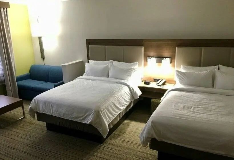 スイート, Holiday Inn Express   Grand Island, An Ihg