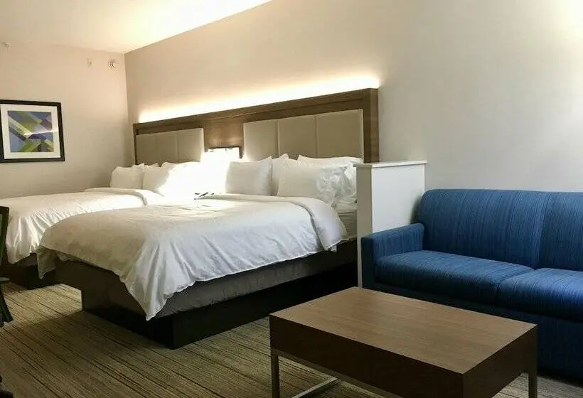 スイート, Holiday Inn Express   Grand Island, An Ihg