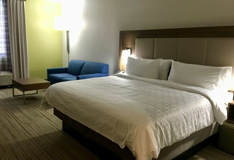 스위트, Holiday Inn Express   Grand Island, An Ihg