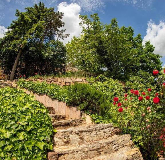 1 Bedroom Superior Apartment, Zum Burggraf