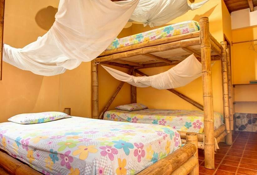 غرفة قياسية ثلاثية, Restaurante Amalur