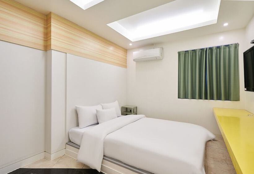 Quarto Estandar, Show