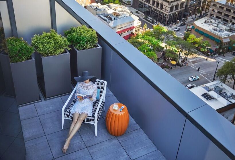 سوئیت جونیور با تراس, Viceroy Chicago