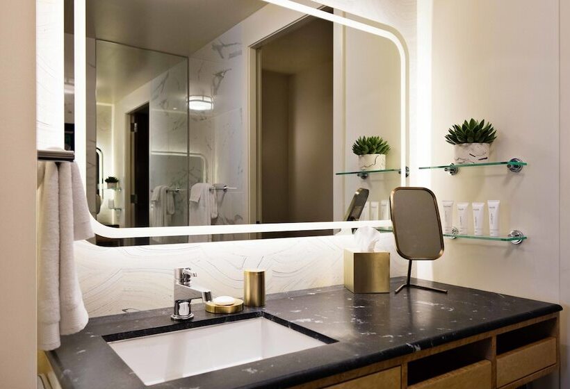 سوئیت برای معلولان, Viceroy Chicago