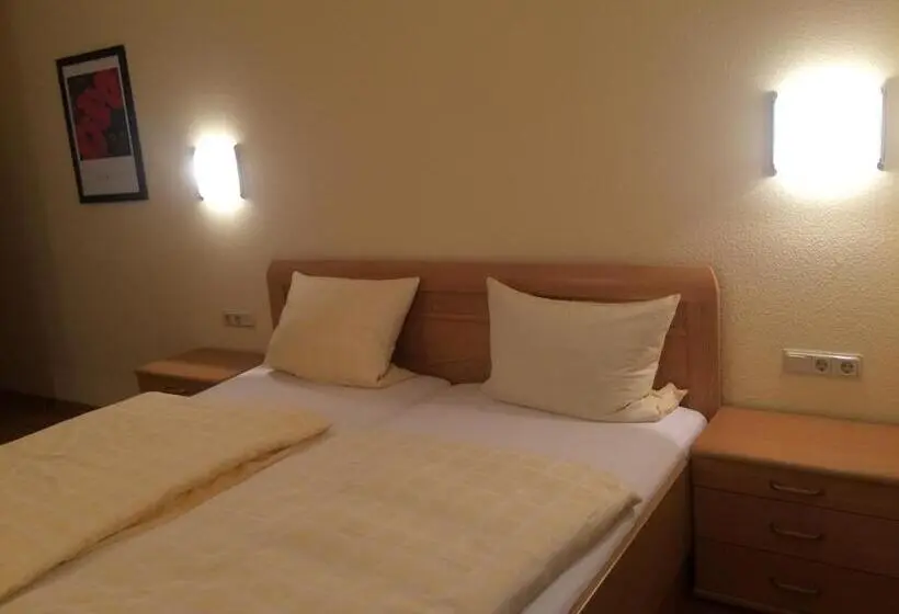 スタンダードルーム, Moselhotel Lesura