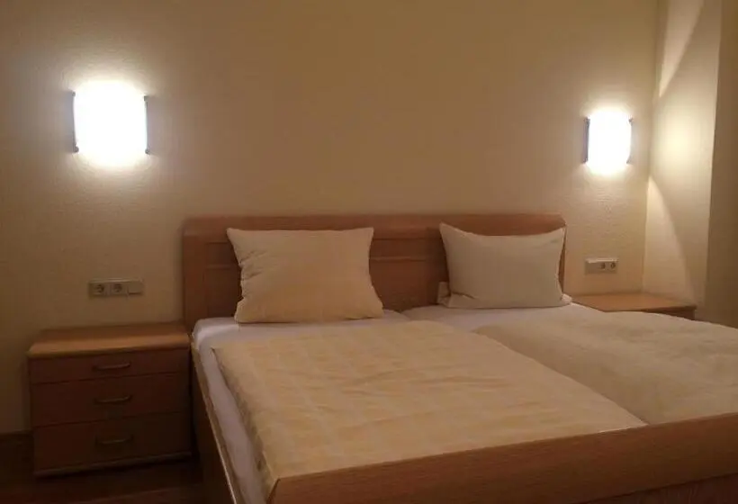 スタンダードルーム, Moselhotel Lesura