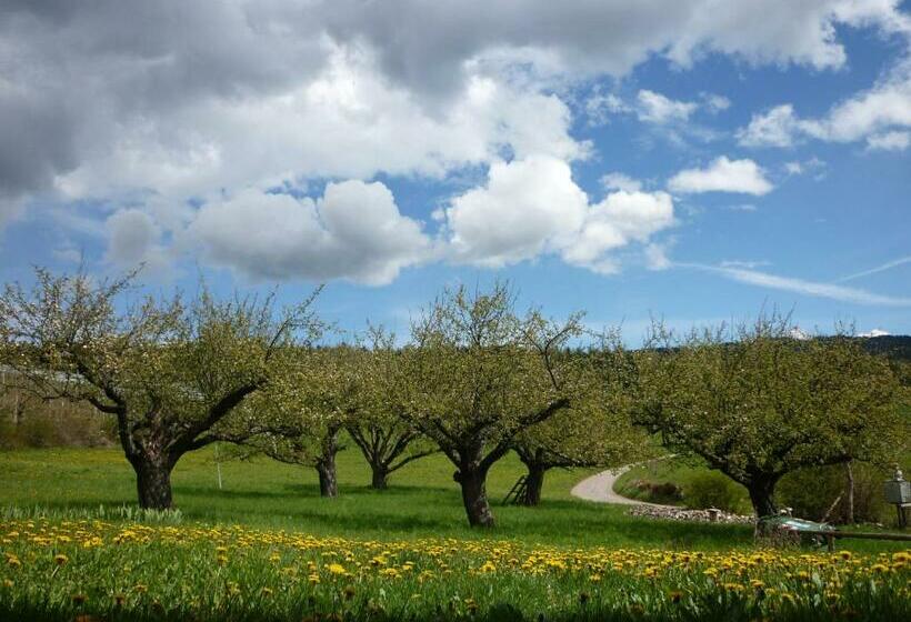 חדר סטנדרט, La Capannina